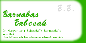 barnabas babcsak business card